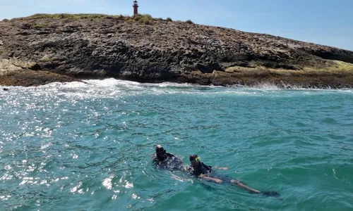 
          Imagem ilustrativa da imagem Coral invasor  é ameaça em navio afundado no ES
          