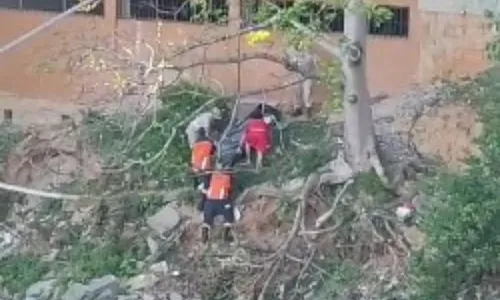 
          Imagem ilustrativa da imagem Corpo é encontrado em rio no Sul do Espírito Santo
          