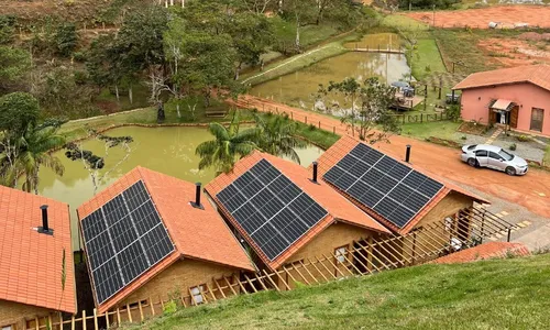 
          Imagem ilustrativa da imagem Economia de até 80% em empresas sustentáveis
          