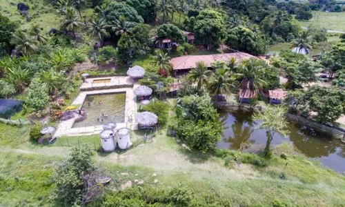 
          Imagem ilustrativa da imagem Economia de até 80% em empresas sustentáveis
          