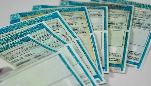 
          Imagem ilustrativa da imagem Em três dias, CNH Social recebeu mais de 54,8 mil inscrições
          