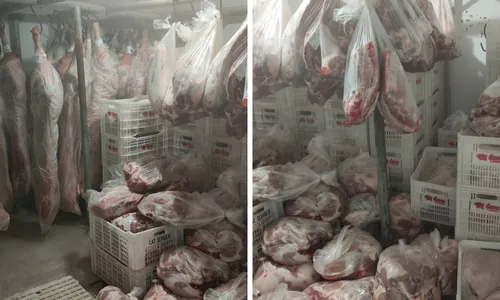 
          Imagem ilustrativa da imagem Empresário é preso e distribuidora clandestina de carnes é fechada em Vila Velha
          