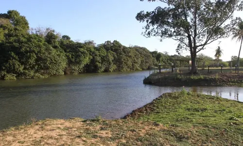 
          Imagem ilustrativa da imagem Espírito Santo registra maior percentual de área com seca no sudeste em maio
          