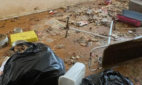 
          Imagem ilustrativa da imagem Família é condenada a prisão pela morte de 11 animais no Centro de Vila Velha
          