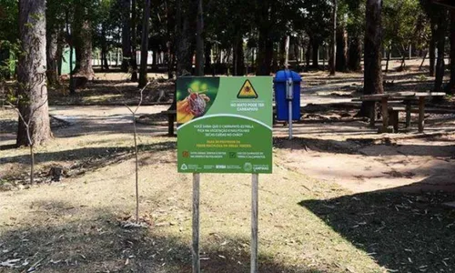 
          Imagem ilustrativa da imagem Febre maculosa: SP tem 3ª morte com suspeita da doença
          