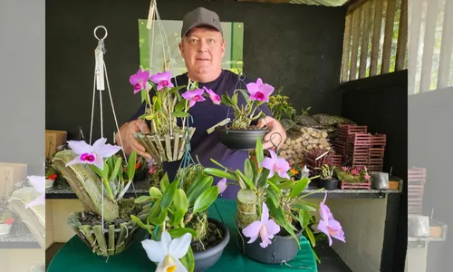 
          Imagem ilustrativa da imagem Festa, cultura e lazer na cidade das orquídeas no ES
          