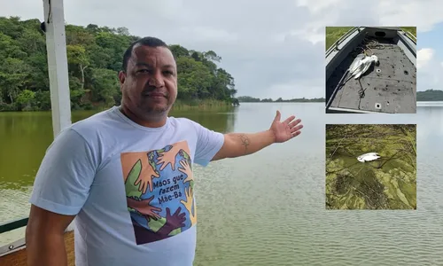 
          Imagem ilustrativa da imagem Garças aparecem mortas em lagoa de Anchieta
          