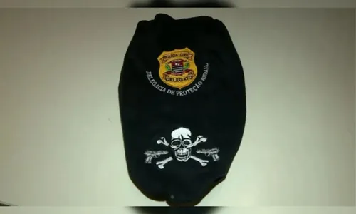 
          Imagem ilustrativa da imagem Gato é adotado por funcionários de delegacia, ganha farda e se torna "Delegato"
          