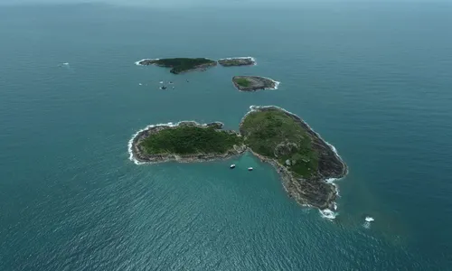 
          Imagem ilustrativa da imagem Governo proíbe acesso a outras 8 ilhas do ES por causa da gripe aviária
          