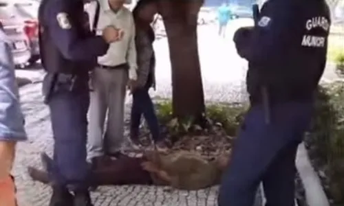 
          Imagem ilustrativa da imagem Homem com deficiência tem cadeira de rodas roubada e fica no chão
          