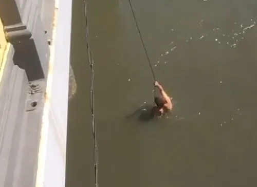 
          Imagem ilustrativa da imagem Homem morre afogado após furtar celular e pular no Rio Capibaribe
          
