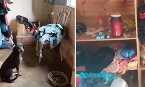 
          Imagem ilustrativa da imagem Idosos eram mantidos como escravos em fazendas no ES
          