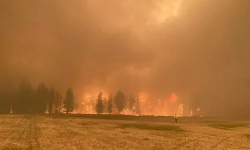 
          Imagem ilustrativa da imagem Incêndios florestais forçam retirada de 30 mil pessoas no Canadá
          