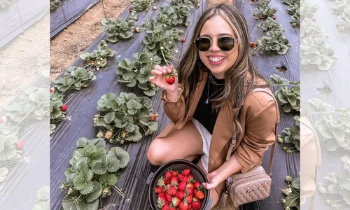 
          Imagem ilustrativa da imagem Inverno começa nesta quarta com atrações nas montanhas do ES
          