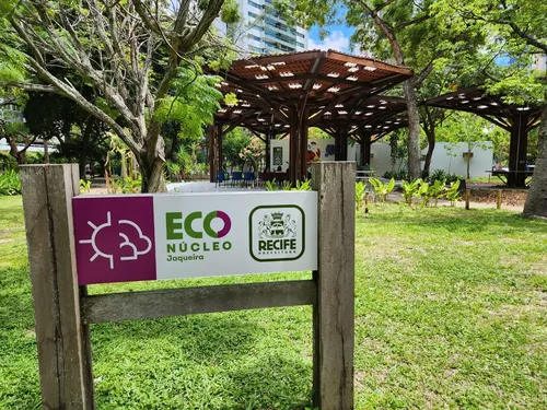 
          Imagem ilustrativa da imagem Jaqueira é ponto de coleta de potes de vidro para armazenar leite materno
          