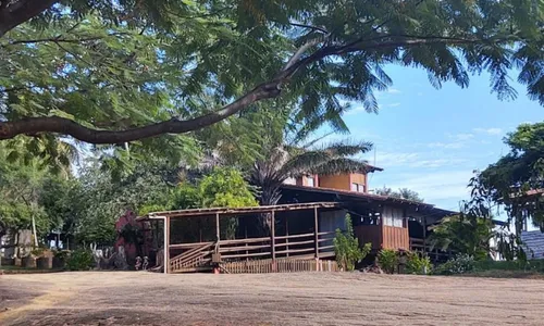 
          Imagem ilustrativa da imagem Mãe e filha comandam sítio
          