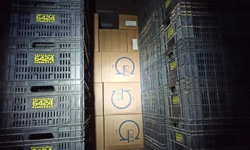 
          Imagem ilustrativa da imagem Mais de 2 milhões de cigarros paraguaios apreendidos em Cariacica
          