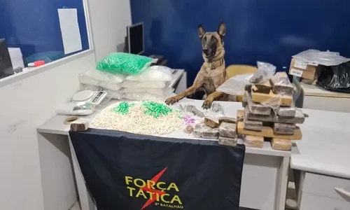 
          Imagem ilustrativa da imagem Mais de 3 mil pinos de cocaína são apreendidos em caixa d'água em Vila Velha
          