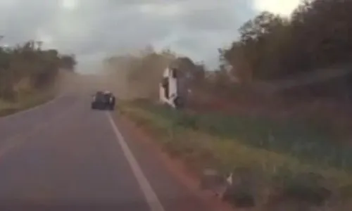 
          Imagem ilustrativa da imagem Médico sobrevive após capotar carro em acidente causado por abelha
          