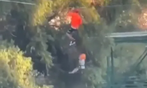 
          Imagem ilustrativa da imagem Menino de 6 anos cai de tirolesa e sobrevive a queda de 12 metros no México
          