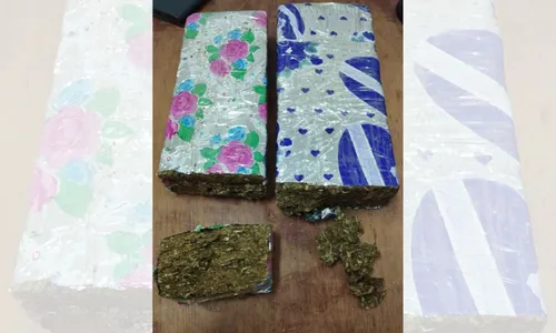 
          Imagem ilustrativa da imagem Morador do ES recebe encomenda de suplemento, mas encontra maconha na caixa
          