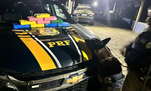 
          Imagem ilustrativa da imagem Motorista que iria entregar carro com drogas na Orla de Camburi é preso no ES
          