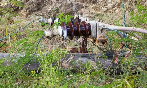 
          Imagem ilustrativa da imagem Mulher morre com choque elétrico após vento derrubar galho em fiação
          