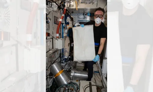 
          Imagem ilustrativa da imagem Nasa cria tecnologia que purifica até 98% da água em xixi de astronautas
          