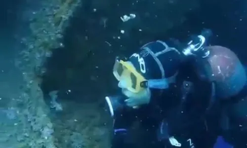 
          Imagem ilustrativa da imagem Navio afundado em Guarapari atrai turistas do mundo todo
          