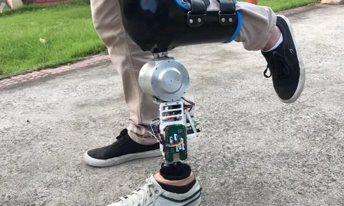 
          Imagem ilustrativa da imagem Novas descobertas de pesquisadores do Estado
          