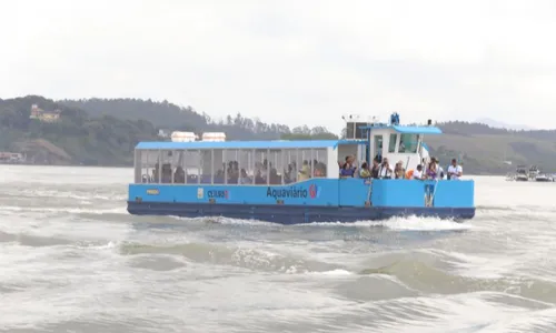 
          Imagem ilustrativa da imagem Novo aquaviário terá viagens a partir desta segunda-feira em duas linhas
          