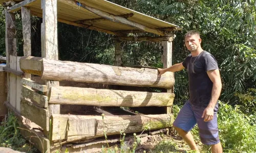 
          Imagem ilustrativa da imagem Onça ataca chiqueiro na Região Serrana do ES
          