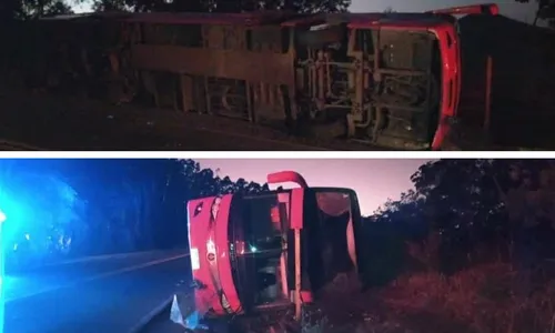 
          Imagem ilustrativa da imagem Ônibus de viagem tomba às margens da Rodovia BR-262
          