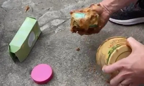 
          Imagem ilustrativa da imagem PF encontra maconha escondida em embalagens de alimentos enviados pelos Correios
          