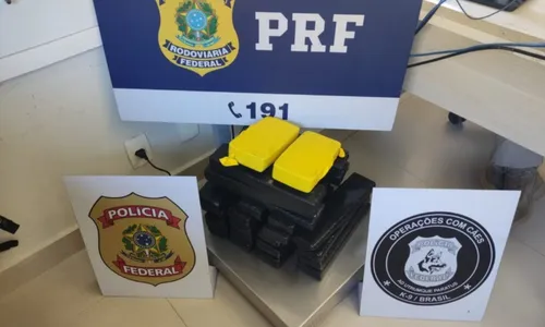 
          Imagem ilustrativa da imagem PRF apreende mais 20 quilos de drogas em outro ônibus com destino ao ES
          
