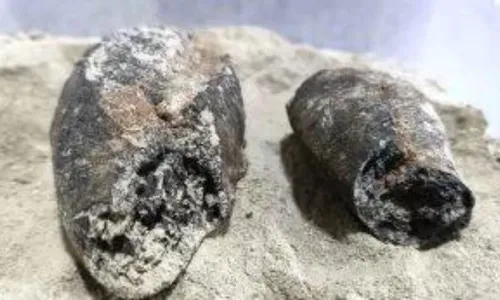 
          Imagem ilustrativa da imagem Pães mumificados são achados no sertão baiano em raro caso de conservação
          