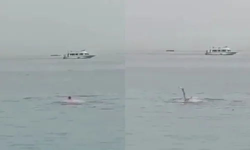 
          Imagem ilustrativa da imagem Pai da vítima fala sobre ataque de tubarão no Egito
          