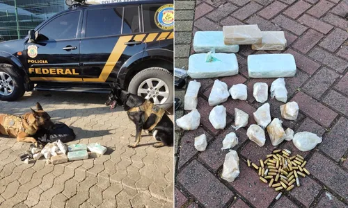 
          Imagem ilustrativa da imagem Passageiro de ônibus é preso com pistola, munições e drogas na Praça do Papa
          