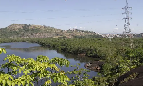 
          Imagem ilustrativa da imagem Pescador fica 17 horas escondido em manguezal no ES para fugir de bandidos
          