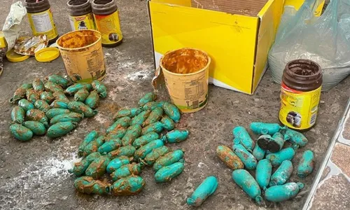 
          Imagem ilustrativa da imagem Polícia Federal apreende haxixe enviado pelos Correios do MS para cidades do ES
          