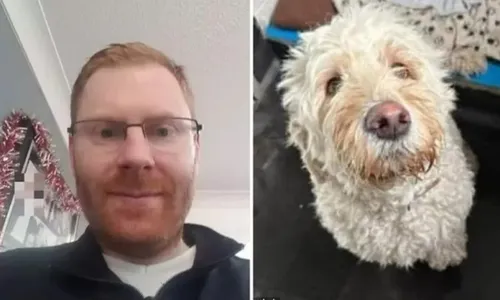 
          Imagem ilustrativa da imagem Polícia busca por cão furtado e encontra corpo de tutor em residência
          