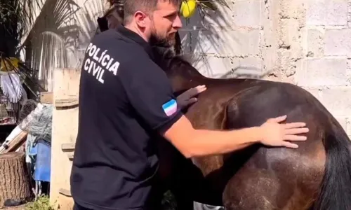 
          Imagem ilustrativa da imagem Polícia recupera égua furtada de fazenda no ES
          