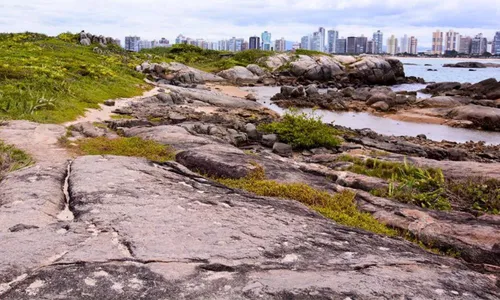 
          Imagem ilustrativa da imagem Prefeitura proíbe acesso a ilhas após casos de gripe aviária. Veja quais
          