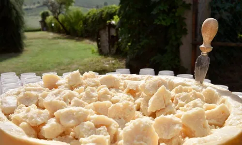 
          Imagem ilustrativa da imagem Produtor de queijo na Itália morre soterrado por peças de grana padano
          