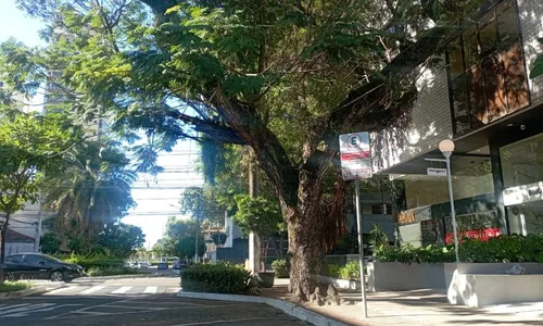 
          Imagem ilustrativa da imagem Professora reage a assalto e acaba baleada na Praia do Canto
          