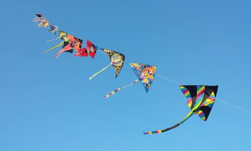 
          Imagem ilustrativa da imagem Projeto prevê “pipódromos” na Grande Vitória
          