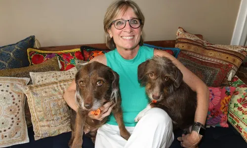 
          Imagem ilustrativa da imagem Remédios e ração para cuidar de animais abandonados
          