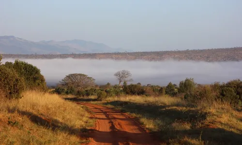
          Imagem ilustrativa da imagem Seita do 'fim do mundo' no Quênia acumula 300 mortos e 600 desaparecidos
          