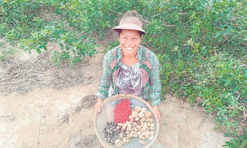 
          Imagem ilustrativa da imagem Sementes geram renda para indígenas de Aracruz
          
