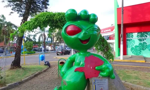 
          Imagem ilustrativa da imagem Terreno onde ET de Varginha supostamente apareceu deve virar ponto turístico
          